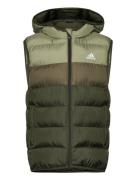 J Sd Vest Foret Vest Green Adidas Sportswear