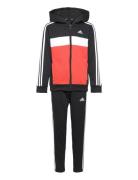 J 3S Tib Fl Ts Sets Sweatsuits Black Adidas Sportswear