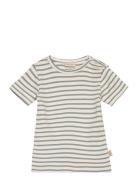 T-Shirt S/S Modal Striped T-shirt Grey Petit Piao