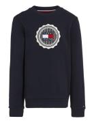 Stamp Embroidery Reg Sweatshirt Tops Sweatshirts & Hoodies Sweatshirts Navy Tommy Hilfiger