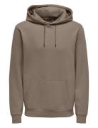 Onsceres Hoodie Sweat Noos Tops Sweatshirts & Hoodies Hoodies Brown ONLY & SONS