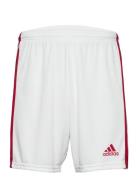 Squadra 21 Short Sport Shorts Sport Shorts White Adidas Performance