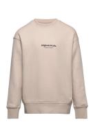 Jorvesterbro Sweat Crew Neck Noos Jnr Tops Sweatshirts & Hoodies Sweatshirts Beige Jack & J S