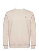 Oakport Sweatshirt Designers Sweatshirts & Hoodies Sweatshirts Cream Dickies