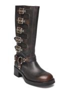 Battle Boot Shoes Boots Ankle Boots Ankle Boots Flat Heel Brown Steve Madden