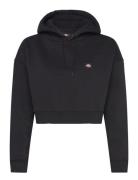 Oakport Cropped Hoodie Tops Sweatshirts & Hoodies Hoodies Black Dickies