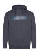 Sweeny M Hooded Sweatshirt Tops Sweatshirts & Hoodies Hoodies Navy Cruz