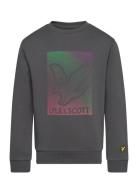 Dotted Eagle Graphic Sweatshirt Tops Sweatshirts & Hoodies Sweatshirts Grey Lyle & Scott