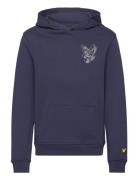 3D Eagle Graphic Hoodie Tops Sweatshirts & Hoodies Hoodies Navy Lyle & Scott