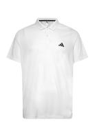 Adidas Train Essentials Training Polo Shirt Tops Polos Short-sleeved White Adidas Performance