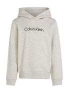 Inst. Logo Reg. Terry Hoodie Tops Sweatshirts & Hoodies Hoodies Grey Calvin Klein