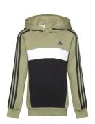 J 3S Tib Fl Hd Tops Sweatshirts & Hoodies Hoodies Khaki Green Adidas Sportswear