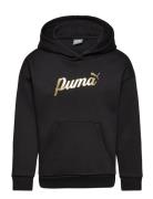 Ess+ Script Metallic Hoodie Fl G Sport Sweatshirts & Hoodies Hoodies Black PUMA