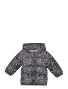 Printed Quilted Coat Foret Jakke Black Mango