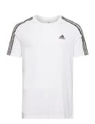 Essentials Single Jersey 3-Stripes T-Shirt Sport T-Kortærmet Skjorte White Adidas Sportswear