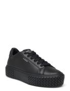 Cph144 Leather Black Low-top Sneakers Black Copenhagen Studios