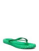 Flipflop With Glitter Shoes Summer Shoes Sandals Flip Flops Green Ilse Jacobsen