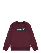 Levi's® Batwing Crewneck Sweatshirt Tops Sweatshirts & Hoodies Sweatshirts Brown Levi's