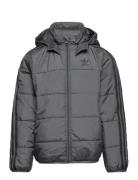 Padded Jacket Sport Jackets & Coats Puffer & Padded Grey Adidas Originals