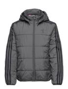 Adicolor Jacket Sport Jackets & Coats Puffer & Padded Grey Adidas Originals