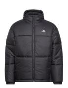 Bsc 3-Stripes Puffy Hooded Jacket Sport Jackets Padded Jackets Black Adidas Sportswear