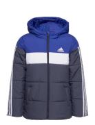 Padded Jacket Kids Sport Jackets & Coats Puffer & Padded Blue Adidas Sportswear