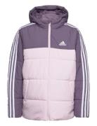 Jg Cb Pad Jkt Sport Jackets & Coats Puffer & Padded Purple Adidas Sportswear