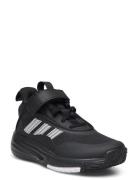 Ownthegame 3.0 K Sport Sneakers High-top Sneakers Black Adidas Sportswear