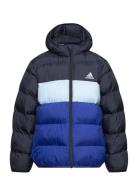 Lk Sd Jkt Outerwear Jackets & Coats Winter Jackets Blue Adidas Sportswear