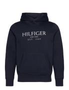 Big Hilfiger Hoody Tops Sweatshirts & Hoodies Hoodies Navy Tommy Hilfiger