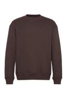 Loose Fit Sweat With Embroidery At Tops Sweatshirts & Hoodies Sweatshirts Brown Knowledge Cotton Apparel