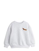 Dog Emb Sweatshirt Tops Sweatshirts & Hoodies Sweatshirts Grey Mini Rodini