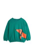 Dog Sp Sweatshirt Tops Sweatshirts & Hoodies Sweatshirts Green Mini Rodini