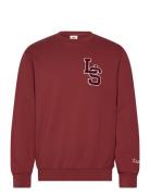 Standard Graphic Crew Ls Lette Tops Sweatshirts & Hoodies Sweatshirts Red LEVI´S Men