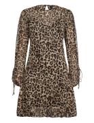 Short Leopard-Print Dress Kort Kjole Brown Mango