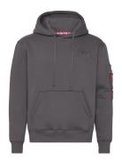 Back Print Hoody Tops Sweatshirts & Hoodies Hoodies Grey Alpha Industries