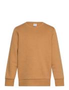 Sweatshirt Basic Tops Sweatshirts & Hoodies Sweatshirts Orange Lindex