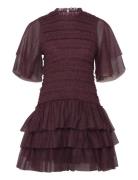 Minnie Short Sleeve Lace Mini Dress Designers Short Dress Burgundy Malina