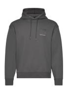 Sweatshirt Tops Sweatshirts & Hoodies Hoodies Grey Armani Exchange