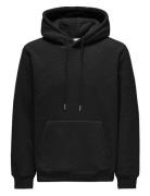 Onsemilio Reg Teddy Hoodie Sweat Vd Tops Sweatshirts & Hoodies Hoodies Black ONLY & SONS