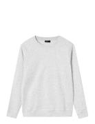 Nlnnizu Ls Bru O-Neck Sweat Noos Tops Sweatshirts & Hoodies Sweatshirts Grey LMTD