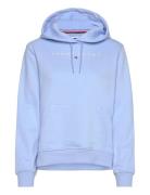 Tjw Reg Linear Hoodie Tops Sweatshirts & Hoodies Hoodies Blue Tommy Jeans