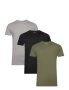 Slim Crewneck 3-Pack Tops T-Kortærmet Skjorte Green Polo Ralph Lauren Underwear