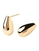 Sugar Earrings Accessories Jewellery Earrings Studs Gold PD Paola