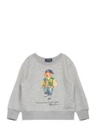 Polo Bear Fleece Sweatshirt Tops Sweatshirts & Hoodies Sweatshirts Grey Ralph Lauren Kids