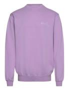 Stan Og Crew Designers Sweatshirts & Hoodies Sweatshirts Purple Stan Ray