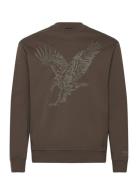 Sweatshirt Tops Sweatshirts & Hoodies Sweatshirts Brown Armani Exchange