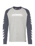 Hmllegacy Blocked T-Shirt L/S Sport T-shirts & Tops Long-sleeved Multi/patterned Hummel