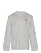 Long Sleeve Tops T-shirts Long-sleeved T-Skjorte Grey Adidas Originals