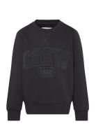 Regular Printed Sweatshirt Tops Sweatshirts & Hoodies Sweatshirts Black Tom Tailor